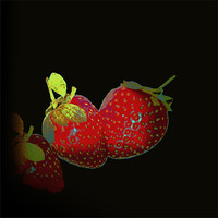 Buy canvas prints of Fashion of Strawberries.. by Nadeesha Jayamanne