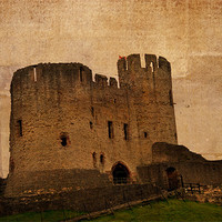 Buy canvas prints of Dudley Castle by Nadeesha Jayamanne