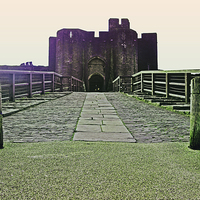 Buy canvas prints of  Caerphilly Castle! by Nadeesha Jayamanne