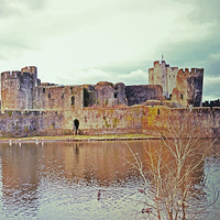 Buy canvas prints of Caerphilly Castle! by Nadeesha Jayamanne