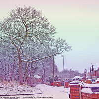 Buy canvas prints of Snowy day!  by Nadeesha Jayamanne