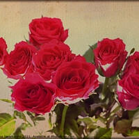 Buy canvas prints of Red roses! by Nadeesha Jayamanne