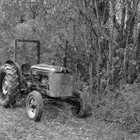 Buy canvas prints of Little ol tractor by Jon Mills