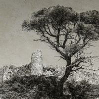Buy canvas prints of Welsh ruin by Jon Mills