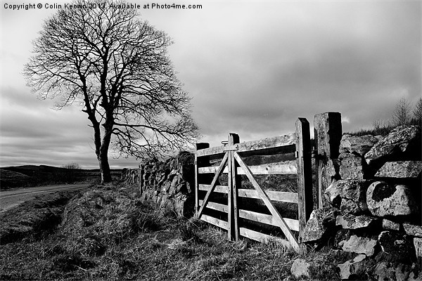 Country gate Picture Board by Colin Keown