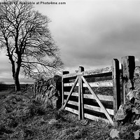 Buy canvas prints of Country gate by Colin Keown