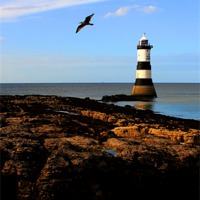 Buy canvas prints of Trwyn Du Lighthouse. by Colin Keown