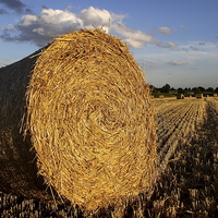 Buy canvas prints of  Hay Bail by Colin Keown