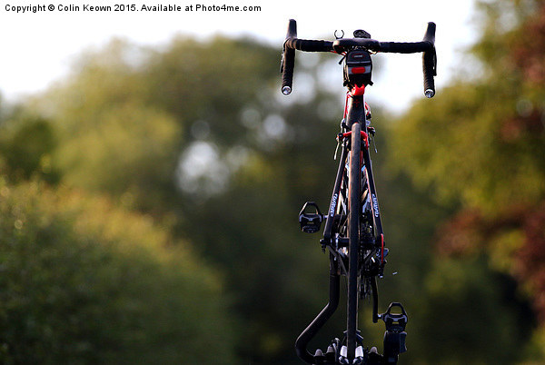  Wilier Trestina Road Bike Picture Board by Colin Keown