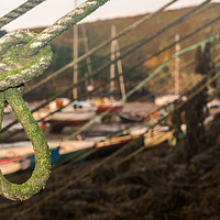 Buy canvas prints of Fisherman's Knot by Colin Keown