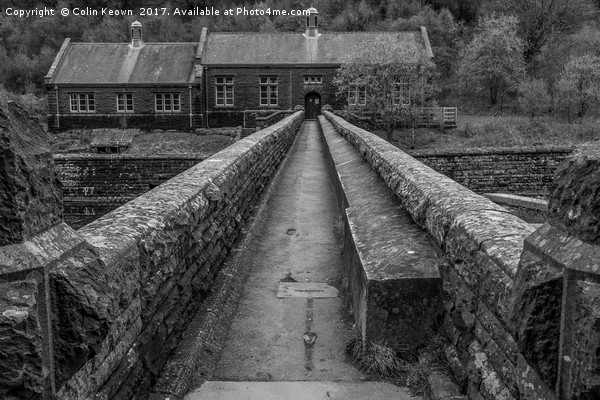 Elan Valley, Caban Coch Picture Board by Colin Keown