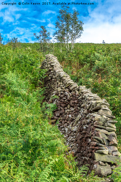 Goyt Valley Picture Board by Colin Keown