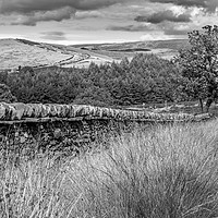 Buy canvas prints of Goyt Valley by Colin Keown