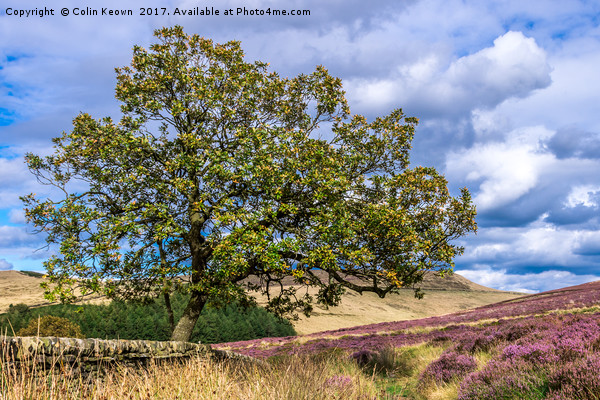 Goyt Valley Picture Board by Colin Keown