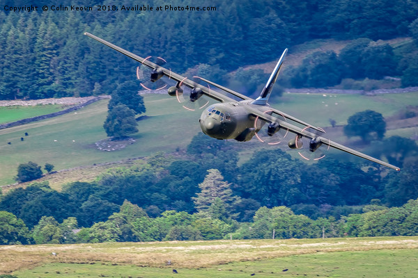 Hercules 206Sqn Picture Board by Colin Keown