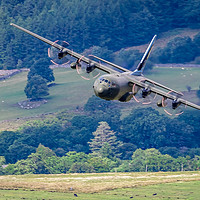 Buy canvas prints of Hercules 206Sqn by Colin Keown