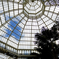 Buy canvas prints of Palm House by Colin Keown