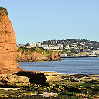 Buy canvas prints of View of Torquay from Paighton by Bryan 4Pics