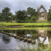 Buy canvas prints of Bolton Abbey by Chris Willman
