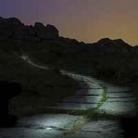 Buy canvas prints of Pathway to Where by Chris Willman