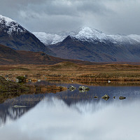 Buy canvas prints of Scottish Highland by Chris Willman