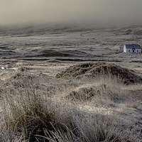 Buy canvas prints of Black Rock Cottage by Chris Willman