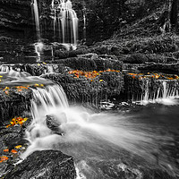 Buy canvas prints of Scaleber Force by Chris Willman