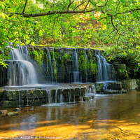 Buy canvas prints of Nidd Falls by Chris Willman