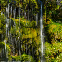 Buy canvas prints of Yorkshire Dale Waterfall by Chris Willman