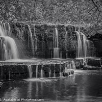 Buy canvas prints of Nidd Falls Yorkshire Dales by Chris Willman