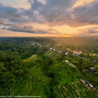 Buy canvas prints of Bali rice terrace sunset by Jan Venter