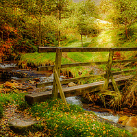 Buy canvas prints of Autumn Hike Bridge by Jan Venter