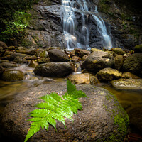 Buy canvas prints of Jungle Waterfall by Jan Venter
