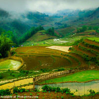 Buy canvas prints of Rice Paddies and hikers by Jan Venter