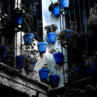 Buy canvas prints of Blue pots by Richard Greenwood