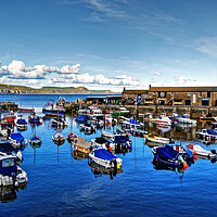 Buy canvas prints of lyme Regis Harbour Dorset by austin APPLEBY
