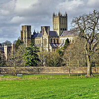 Buy canvas prints of Wells Cathedral Somerset by austin APPLEBY