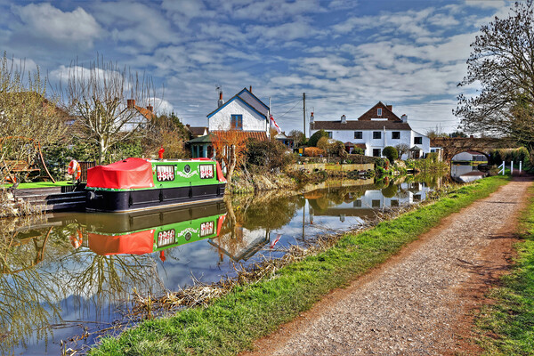 Bridgwater and Taunton Canal Somerset Picture Board by austin APPLEBY