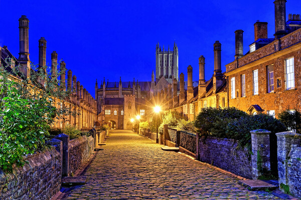 Vicars Close and Wells Cathedral Somerset Picture Board by austin APPLEBY