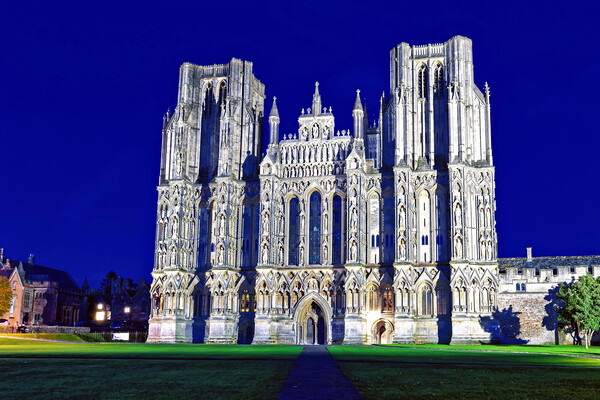 Wells Cathedral West Front At Night Picture Board by austin APPLEBY