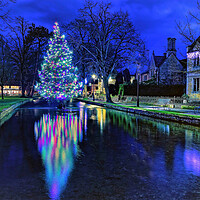 Buy canvas prints of Bourton On The Water Christmas Tree by austin APPLEBY