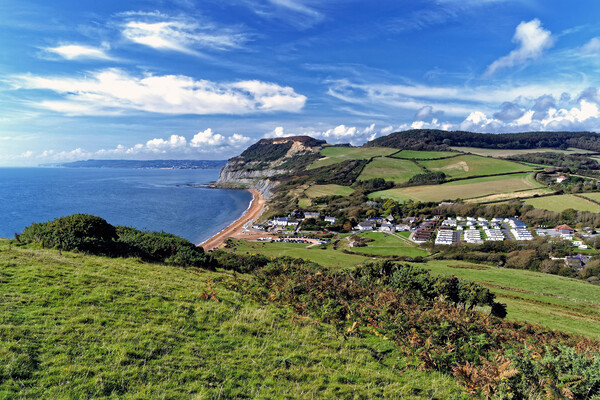 Seatown and Golden Cap Dorset Picture Board by austin APPLEBY