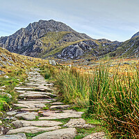 Buy canvas prints of Pathway To Tryfan by austin APPLEBY
