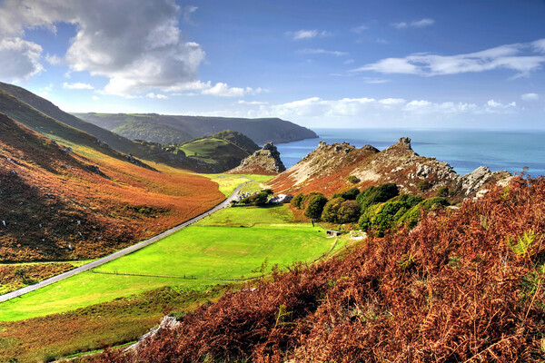 Valley of the Rocks in Autumn Picture Board by austin APPLEBY