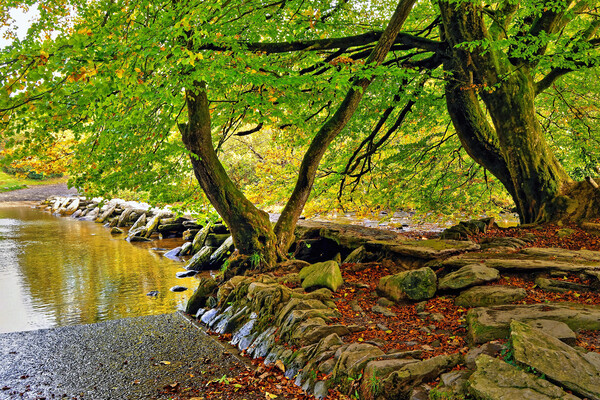 The Tarr Steps Exmoor Somerset Picture Board by austin APPLEBY