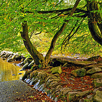 Buy canvas prints of The Tarr Steps Exmoor Somerset by austin APPLEBY