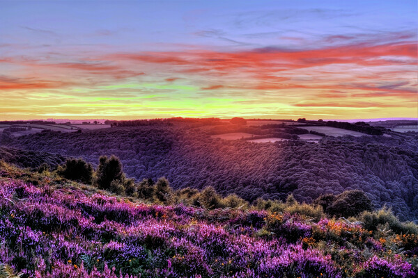 Haddon Hill Sunset Exmoor Somerset Picture Board by austin APPLEBY
