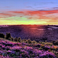 Buy canvas prints of Haddon Hill Sunset Exmoor Somerset by austin APPLEBY