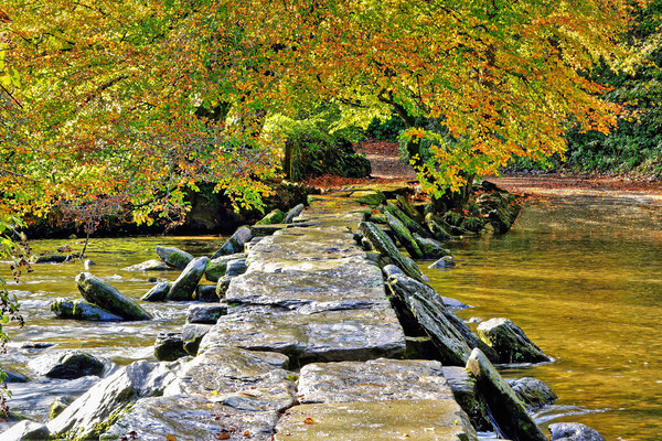 Tarr Steps Exmoor Somerset Picture Board by austin APPLEBY