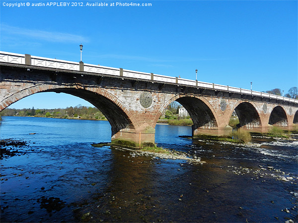 Perth Bridge ( Smeatons Bridge) Picture Board by austin APPLEBY